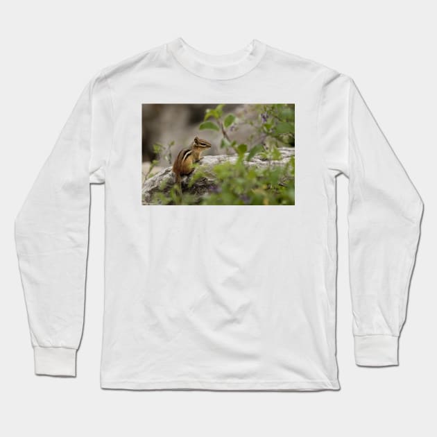 Chipmunk Long Sleeve T-Shirt by jaydee1400